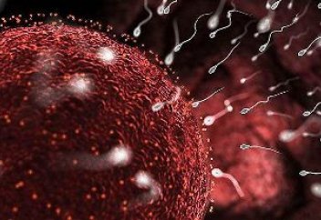 Допустима ли исламом женская стерилизация?