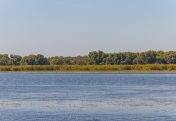 Токаев: уровень воды в Сырдарье и Амударье снизится на 15%