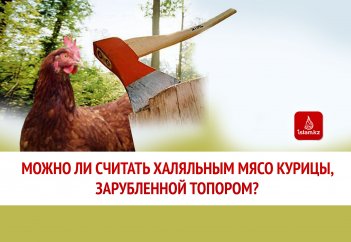 Можно ли считать халяльным мясо курицы, зарубленной топором?