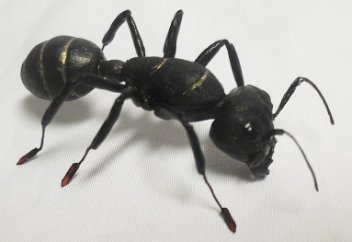 Көзбояушылыққа (рияға) қарсы дұға