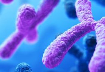 Әйелдер ерлерсіз де ұрпақ өрбіте алатын болып шықты