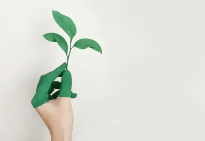 Мировой рынок переработки одежды и текстиля достигнет 20,2 млрд долларов к 2031 году