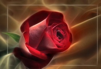 Пайғамбарымыздың сүйікті түсі және киімдері