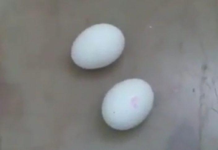 Странные яйца поступили в продажу в Казахстане и Кыргызстане (видео)