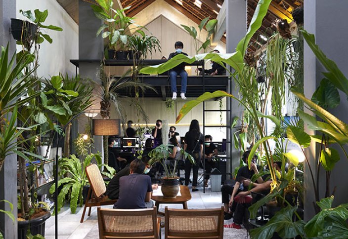 В Индонезии проектируют тропические офисы (фото)