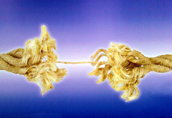 Өлім факторы: ең соңынан өлетін ағза белгілі болды