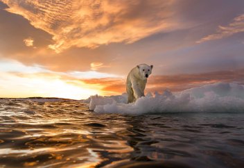 Жаһандық проблеманы шешуге қанша қаражат кететіні есептелді