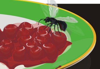 Открытие ученых, известное Пророку (мир ему) 1400 лет назад