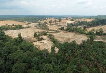 Тұтас бір тайпа ислам дінін қабылдады (фото)