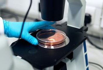 Ученые создали таблетку, способную заживлять переломы