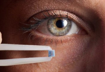 Чиптендіру науқаны аяқталуға жақын қалған ел (видео)