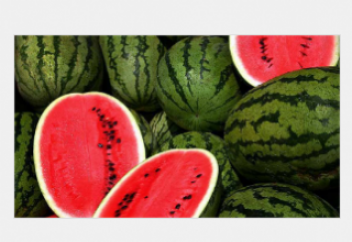 Қарбыздың пайдасы мен зияны