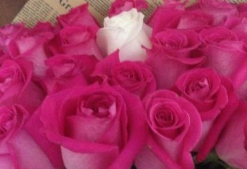 Исламда қыздың теңі болу үшін жігіттің бойынан талап етілетін қасиеттер...