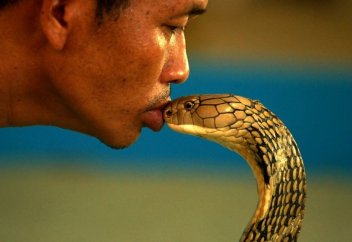 ҰРЛАНҒАН ЖЫЛАН (ғибрат әңгіме)