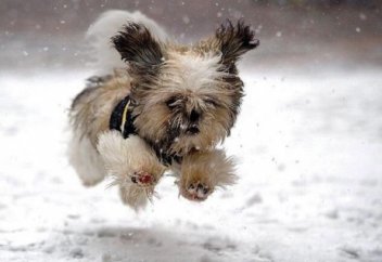 Бірдеңке қылу керек