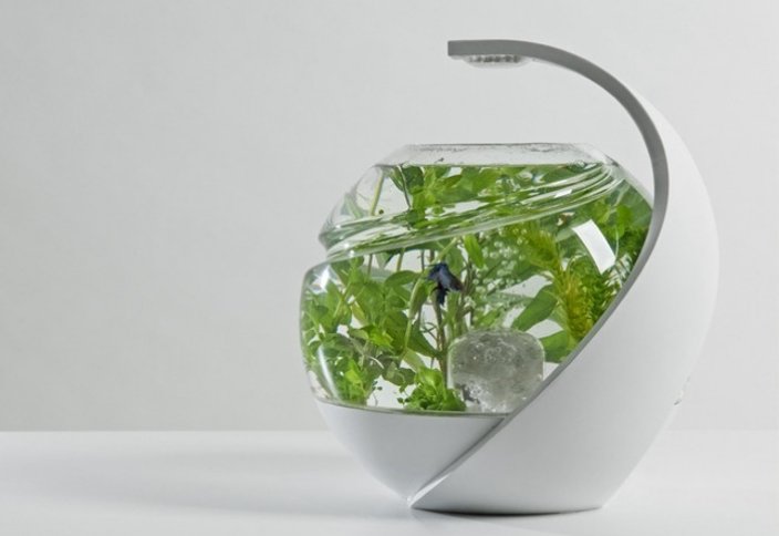 Разные: На Kickstarter появился аквариум Avo, не требующий замены воды (фото)