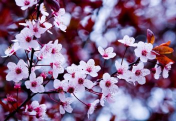 Как пройти испытание молодостью?