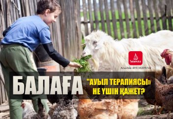Балаға "ауыл терапиясы» не үшін қажет?