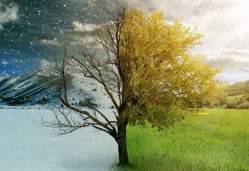 Артық салмақтан арылу үшін қолайлы жыл мезгілі белгілі болды