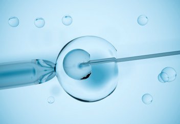 ЭКО мәселесі: Досым донор болшы дейді, шариғатта үкімі қалай?