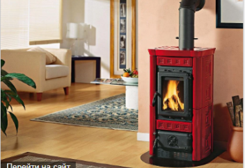 Разное: Британцам придётся отказатья от отопления домов углём и сырой древесиной