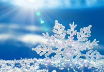 ҚАРДЫҢ ҚАНША ТҮРІ ҺӘМ АТАУЛАРЫ БАР?