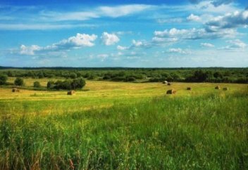 Жайылым жерлер жалға берiлмейтiн болды