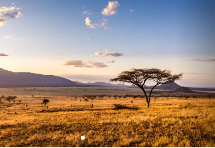 Инвестиции ОАЭ в Африку превысили US$ 110 млрд