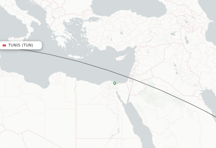 Президент Туниса призвал Катар поддержать реализацию проектов в его стране