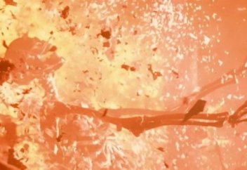 Последние слова Шайтана в СУДНЫЙ ДЕНЬ