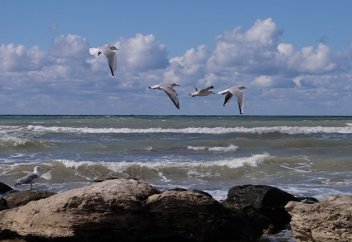 Hamshahri (Иран): Каспий мелеет и солонеет? Как умирает Балтика показали из космоса (видео)