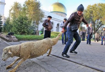 Животное, приготовленное мной для совершения курбан, потерялось, как быть?
