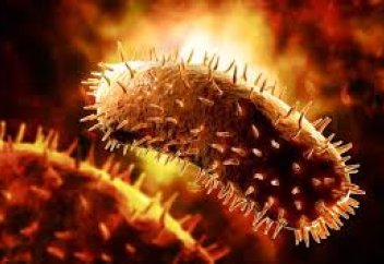 Әлемде тұңғыш рет құтыруға қарсы тиімді дәрі жасалды