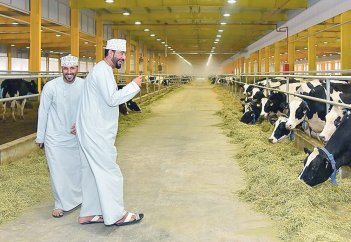 Катарлық инвесторлар Қазақстандағы сүт-тауар фермаларының құрылысын қаржыландырады