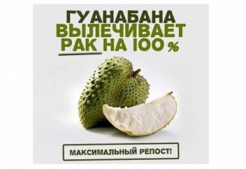 ГУАНАБАНА ЛЕЧИТ РАК НА 100%
