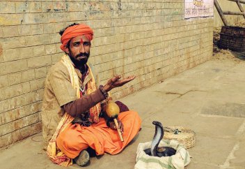 Украденная змея (назидание)