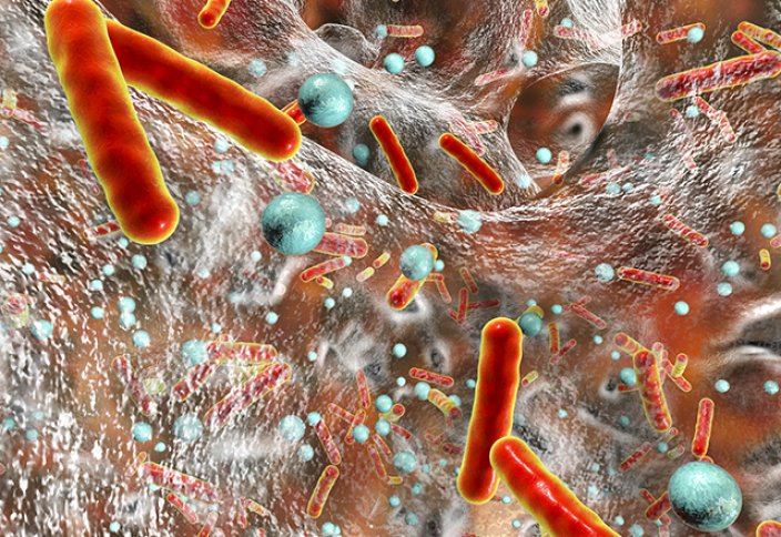 Видео: пять самых опасных микробов на планете
