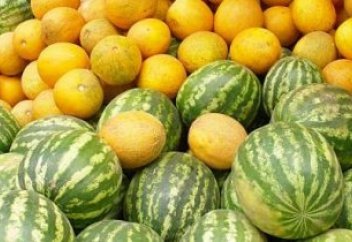 Қауын-қарбызды мамандар тамызға дейін алмауға кеңес берді