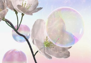 Сабын көпіршіктері алмұрт гүлдерін тозаңдандыру үшін қолданылды