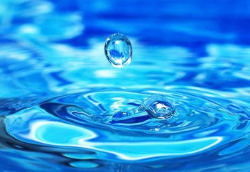 Судың ойлау қабілетін жақсартатын қасиеттері бар