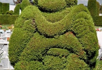 Бәрібір өз далама жетпейді