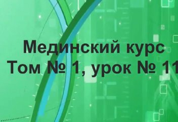 Скрытое (подразумеваемое) изменение. 1 том. Урок 11. - Учим арабский язык