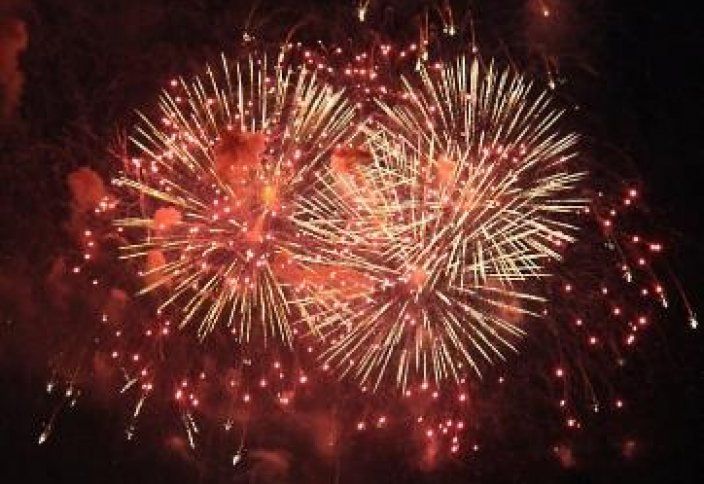 Немецкий город запретил новогодние фейерверки ради спокойствия мигрантов