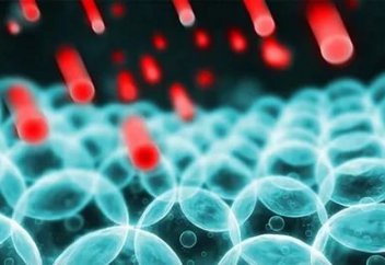 Ғұмырды ұзартуға септігін тигізетін өзгеше фактор табылды