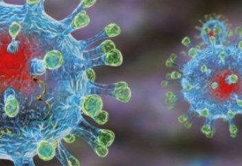 Моя жена заболела коронавирусом.