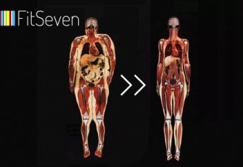 Как сжечь висцеральный жир?