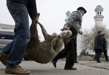 ҚМДБ «халал» қасапшыларды дайындауды қолға алды
