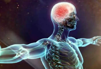 Все болезни от нервов.