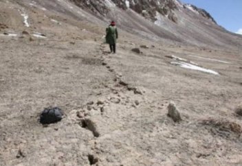 Қазақстанмен шекаралас аумақта беймәлім жануар камераға түсіп қалған (фото+видео)