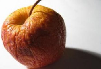 Учеными раскрыта одна из загадок старения